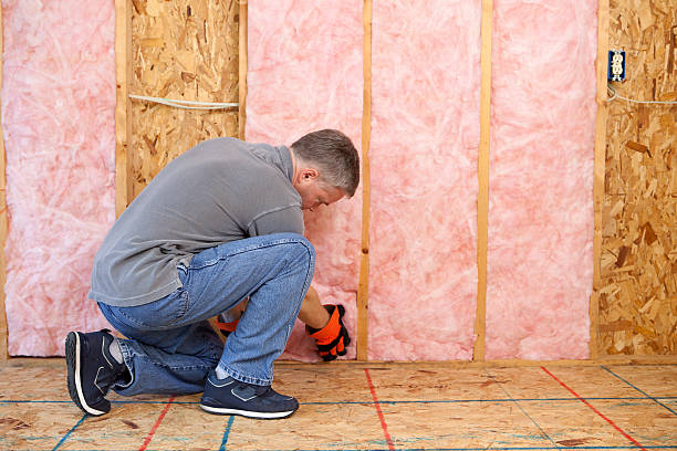 Best Insulation Maintenance and Repair in Fairview, TX